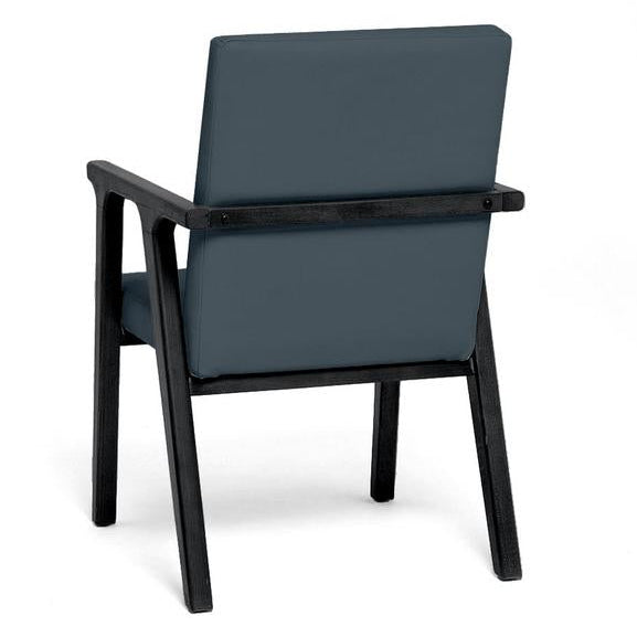 Ascella Upholstered Lounge Chair