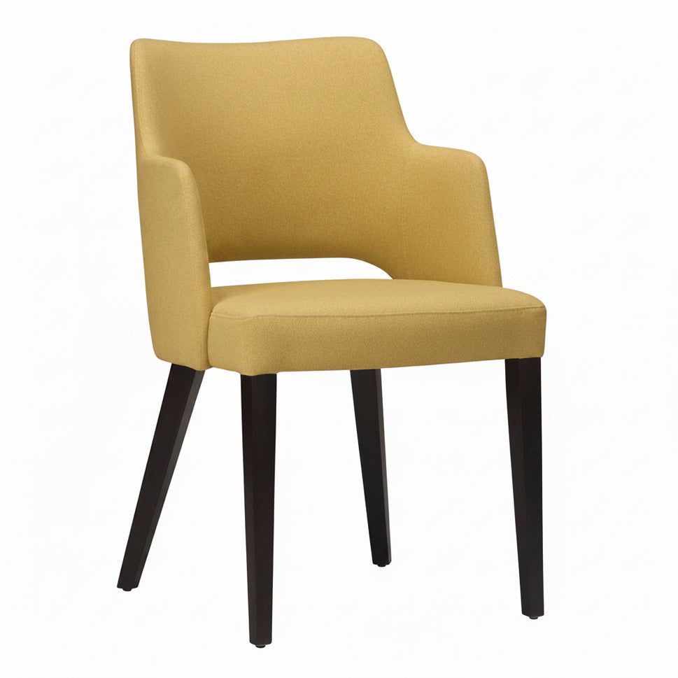 Brescia Upholstered Armchair