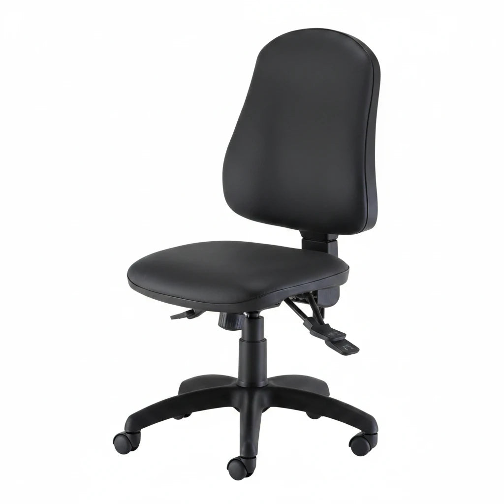 Calypso Ergo 2-Lever Office Chair with Lumbar Pump