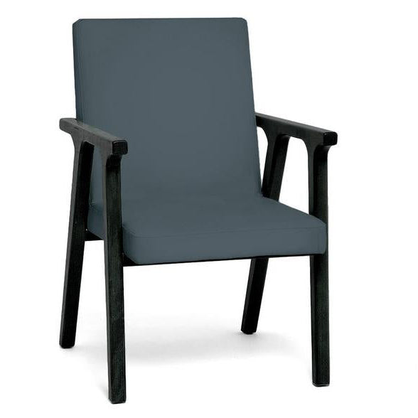 Ascella Upholstered Lounge Chair
