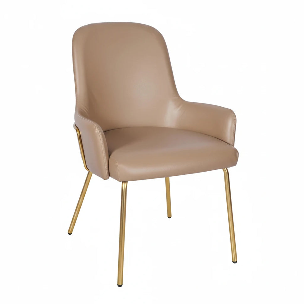 Camden Metal Upholstered Side Chair
