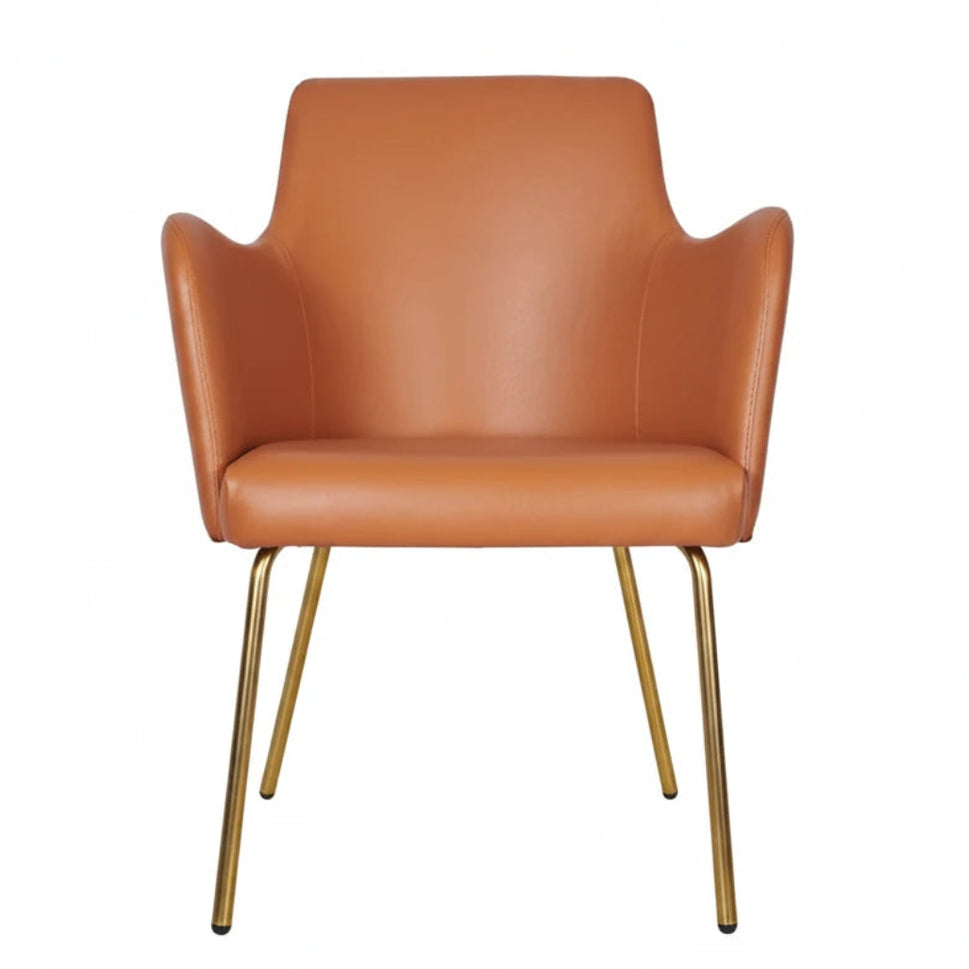 Camden Metal Upholstered Armchair