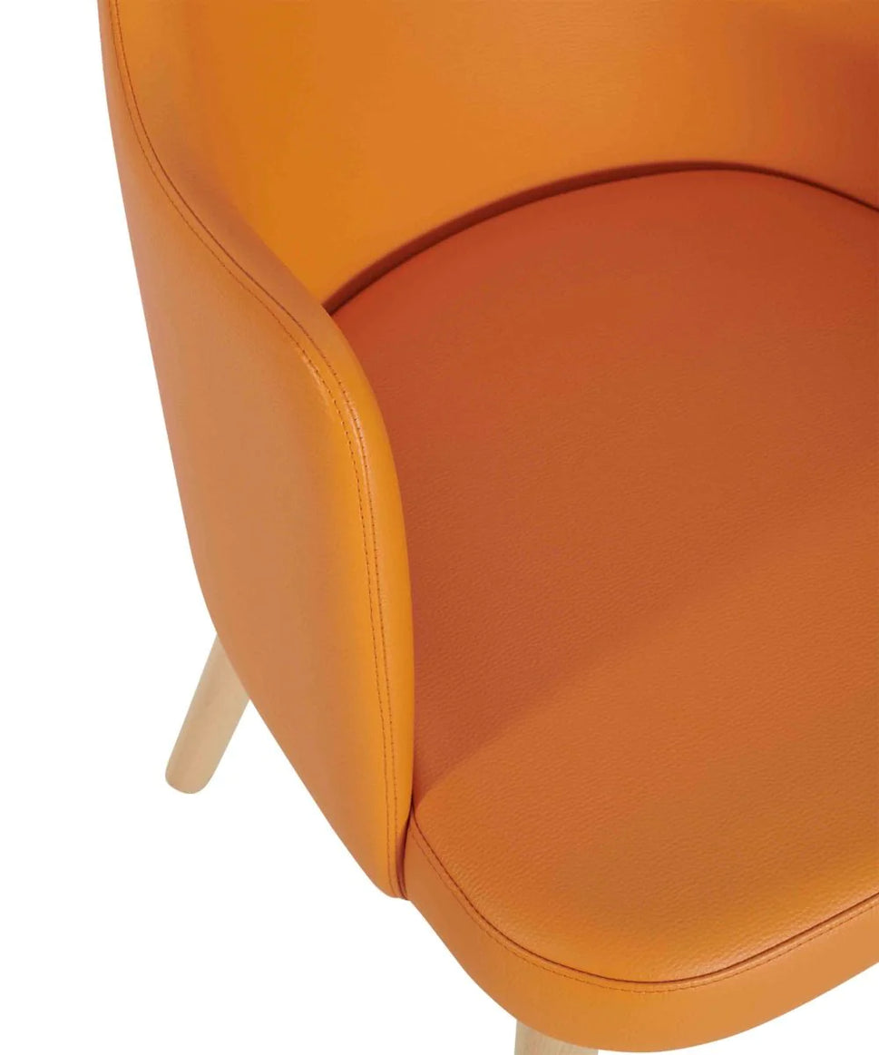 Lumini Upholstered Armchair