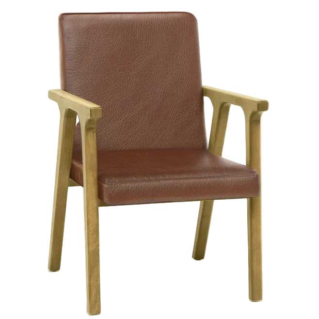 Ascella Upholstered Lounge Chair