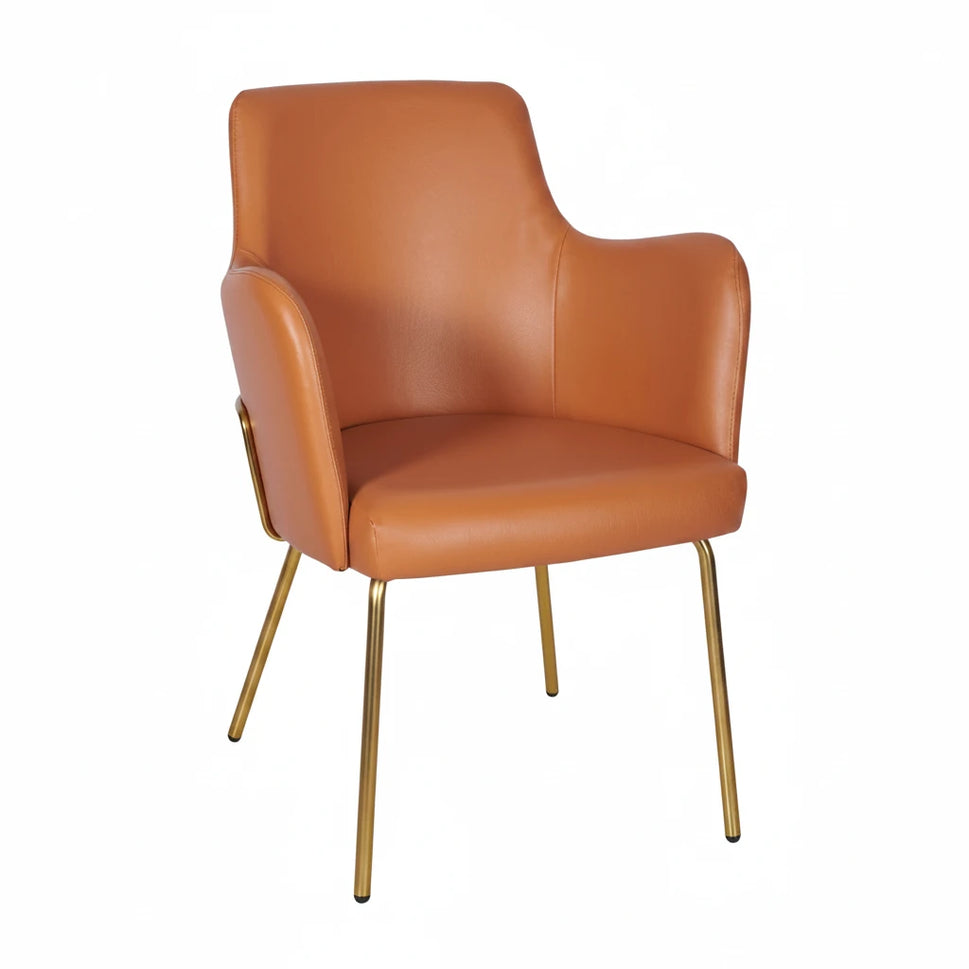 Camden Metal Upholstered Armchair