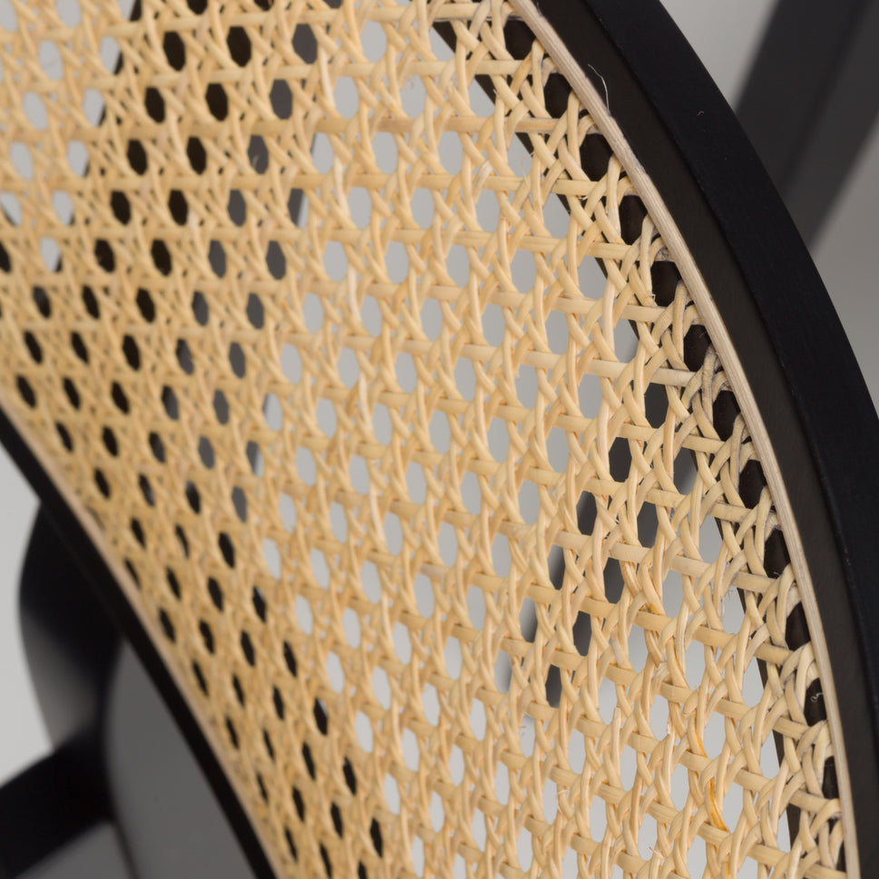 Gordona Rattan Effect Side Chair
