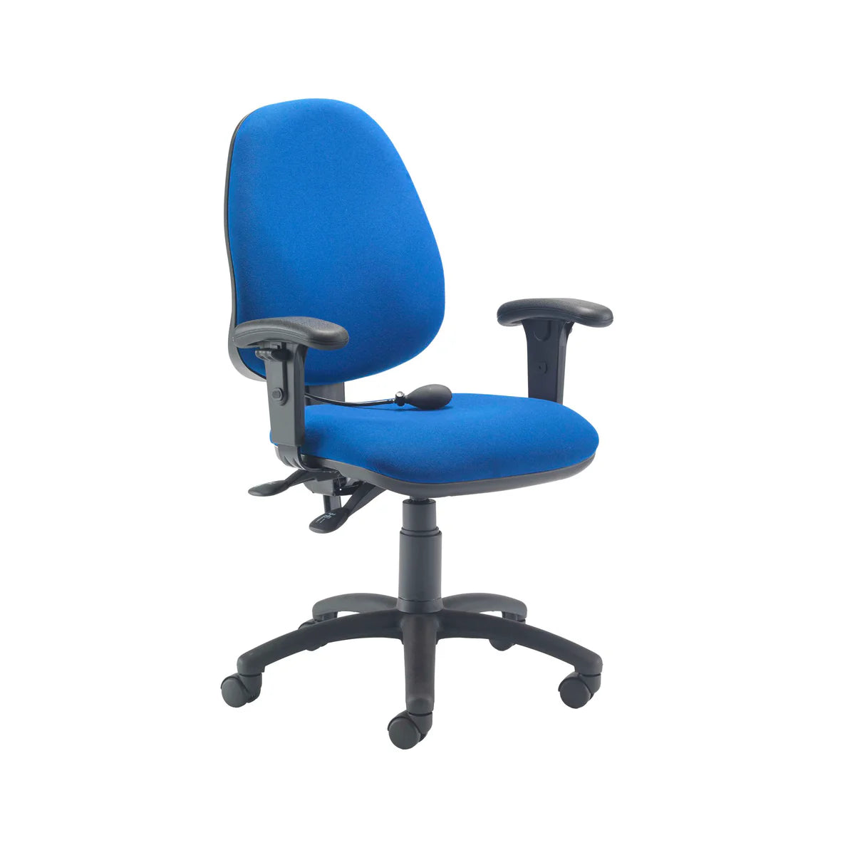 Calypso Ergo 2-Lever Office Chair with Lumbar Pump