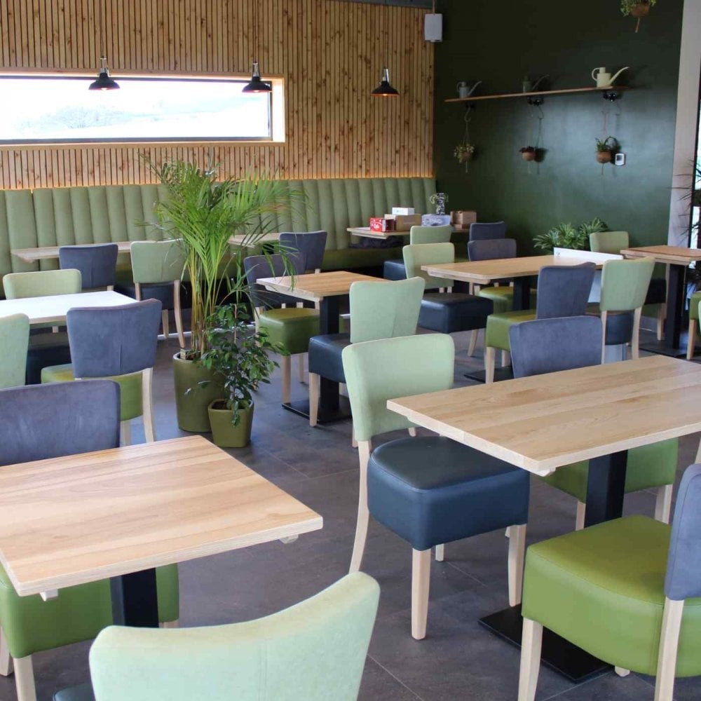 A modern café featuring 25mm Serranto Oak Stain Solid Ash Restaurant Table Tops, green and gray padded chairs, potted plants, and a green accent wall with shelves displaying small plants and decor. Large windows fill the space with natural light.