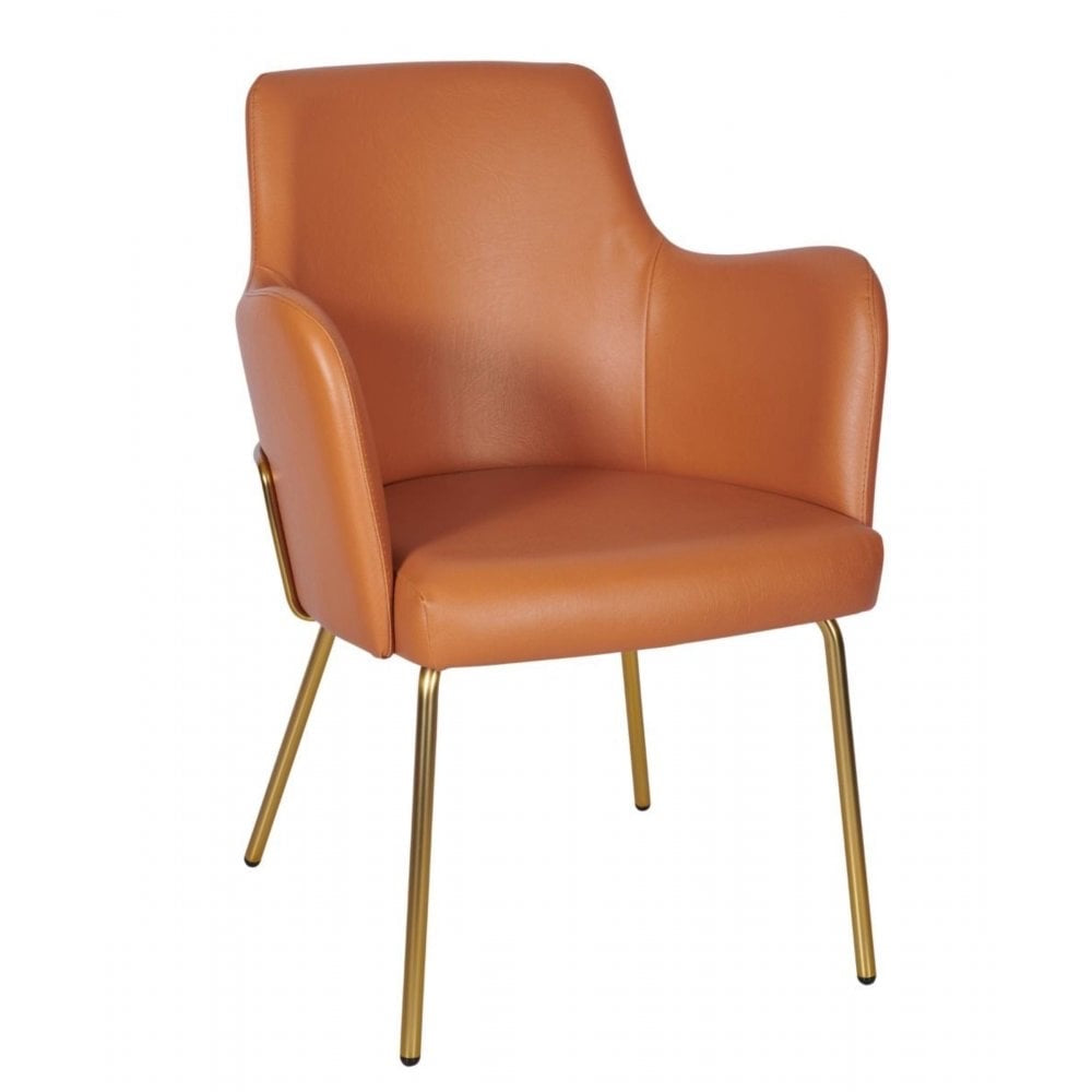 Camden Armchair Metal Frame