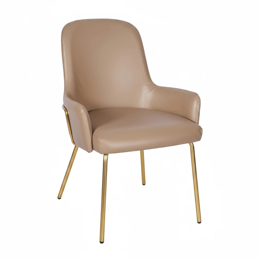 Camden Metal Upholstered Side Chair