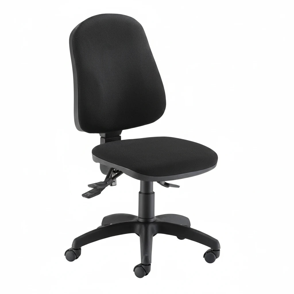 Calypso 2 Deluxe Ergonomic Office Chair