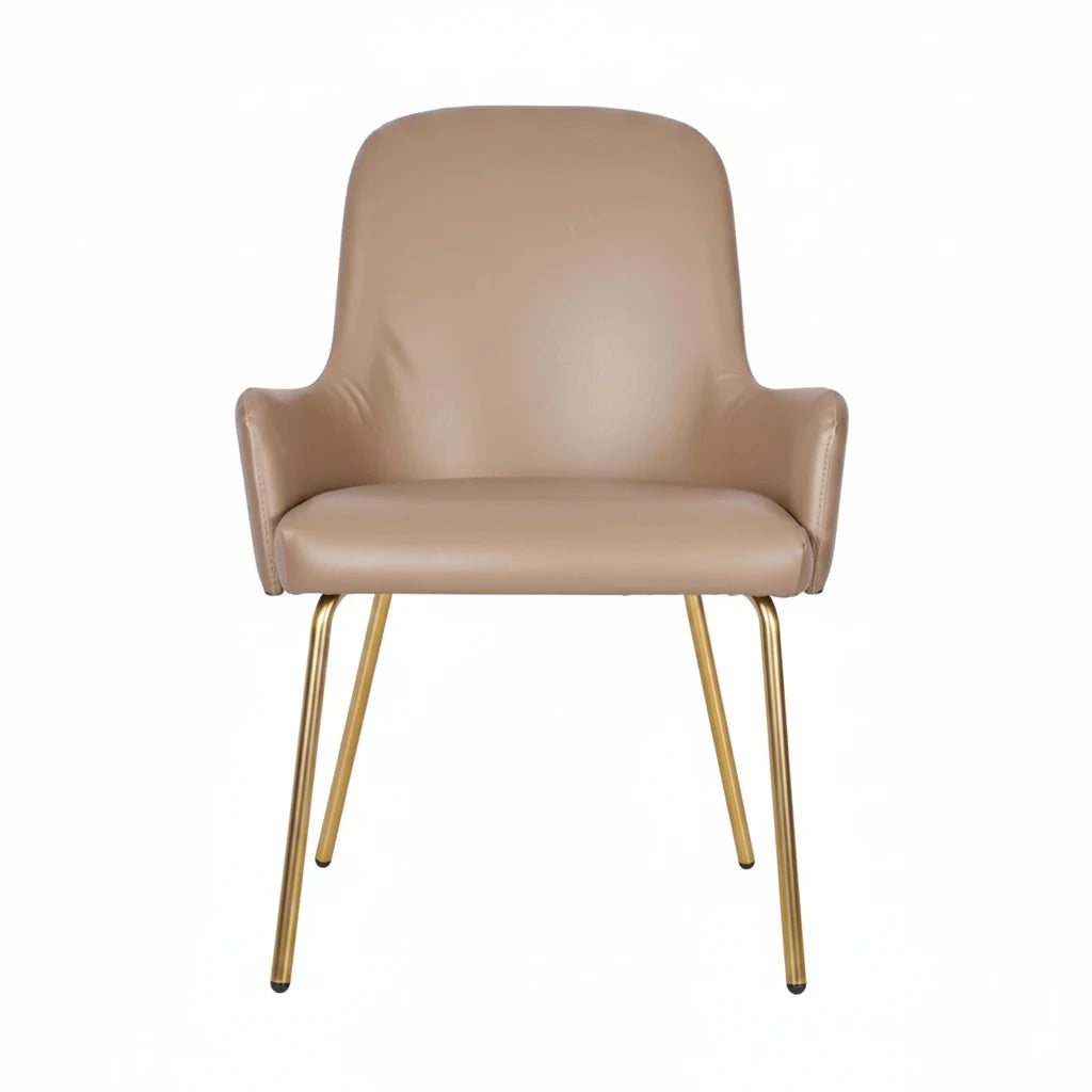 Camden Metal Upholstered Side Chair