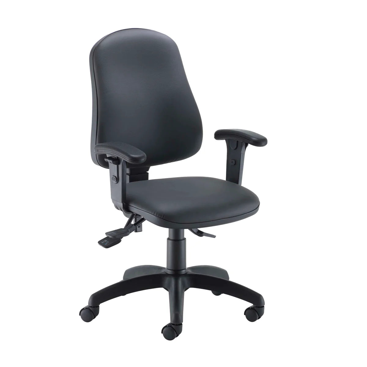 Calypso 2 Deluxe Ergonomic Office Chair