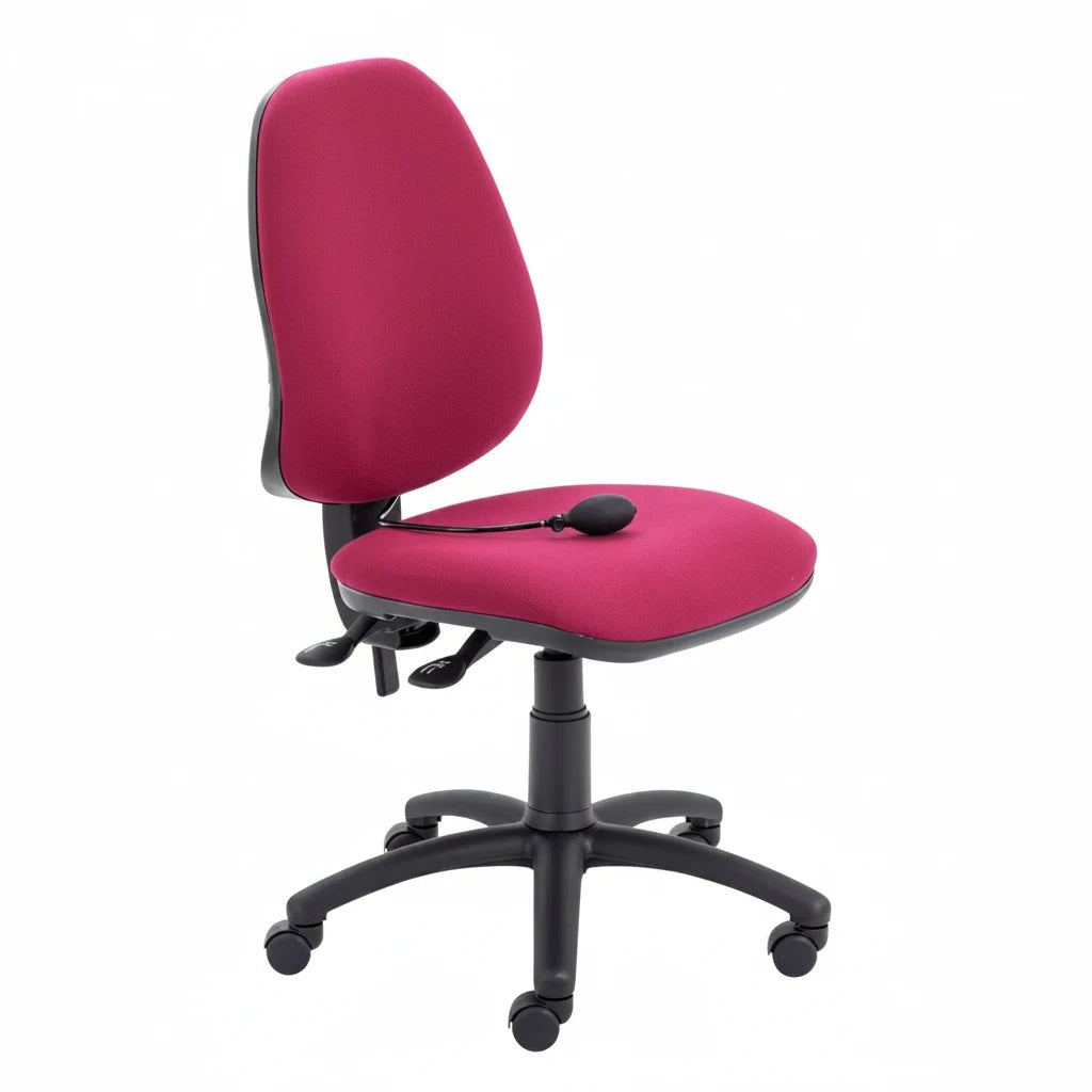 Calypso Ergo 2-Lever Office Chair with Lumbar Pump