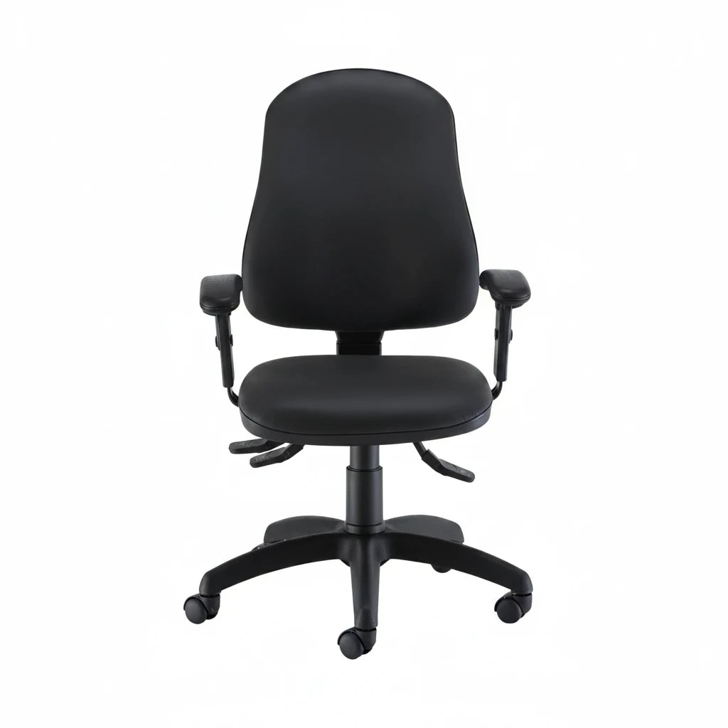 Calypso Ergo 2-Lever Office Chair with Lumbar Pump