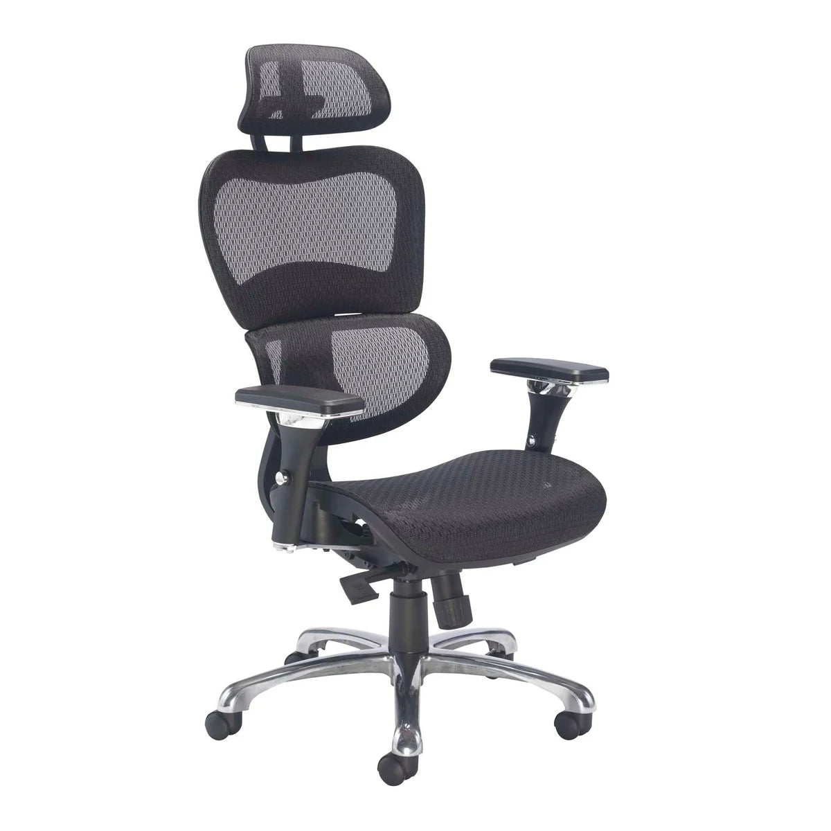 Chachi Mesh Ergonomic Office Chair